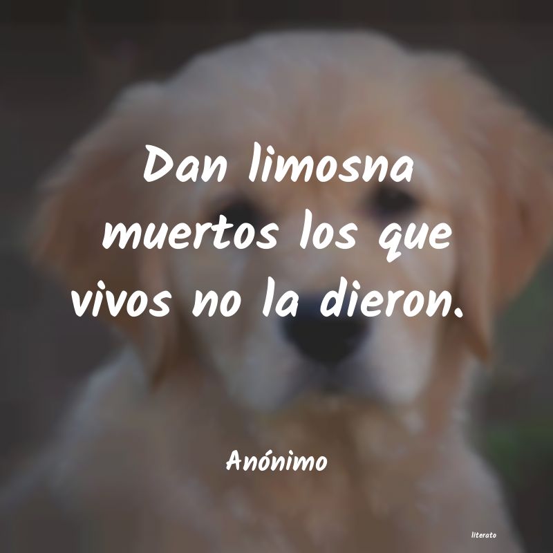 frases