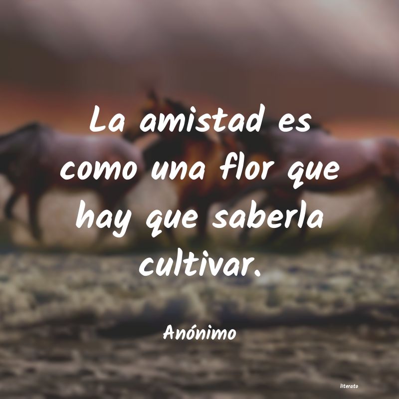 frases