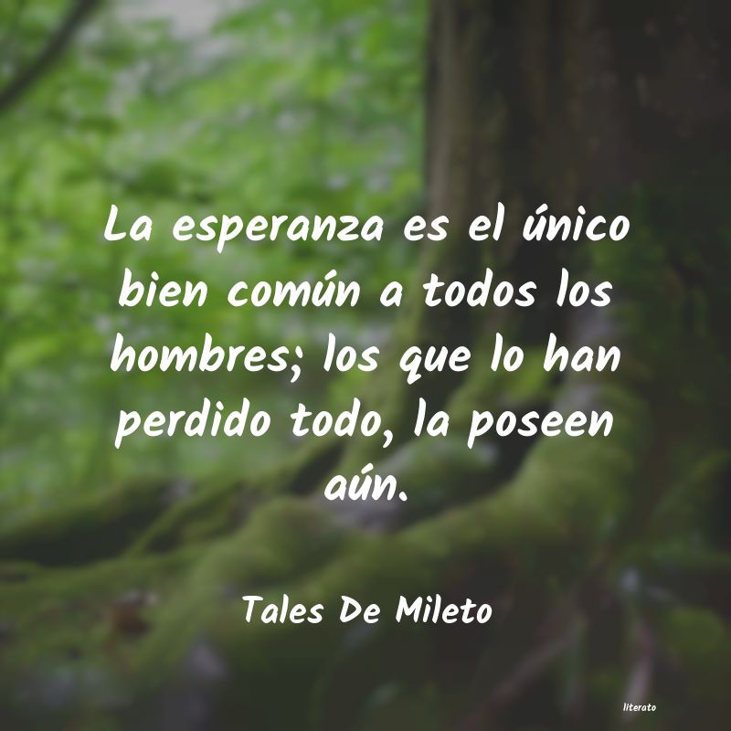 frases de Tales De Mileto