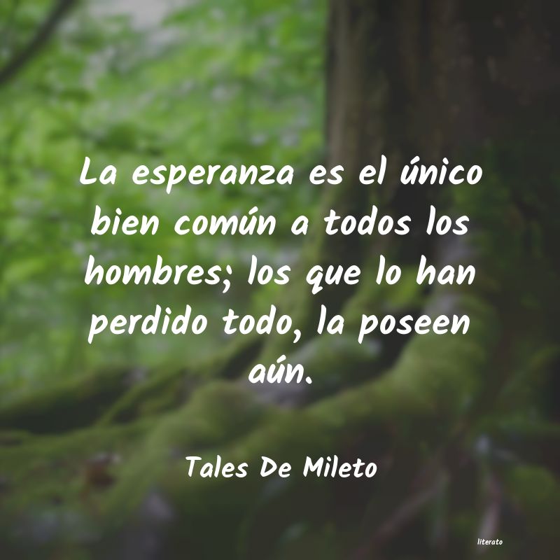 Frases de Tales De Mileto