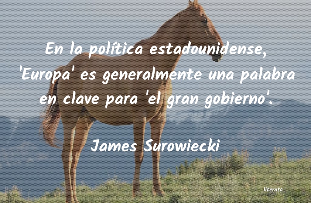 frases de James Surowiecki