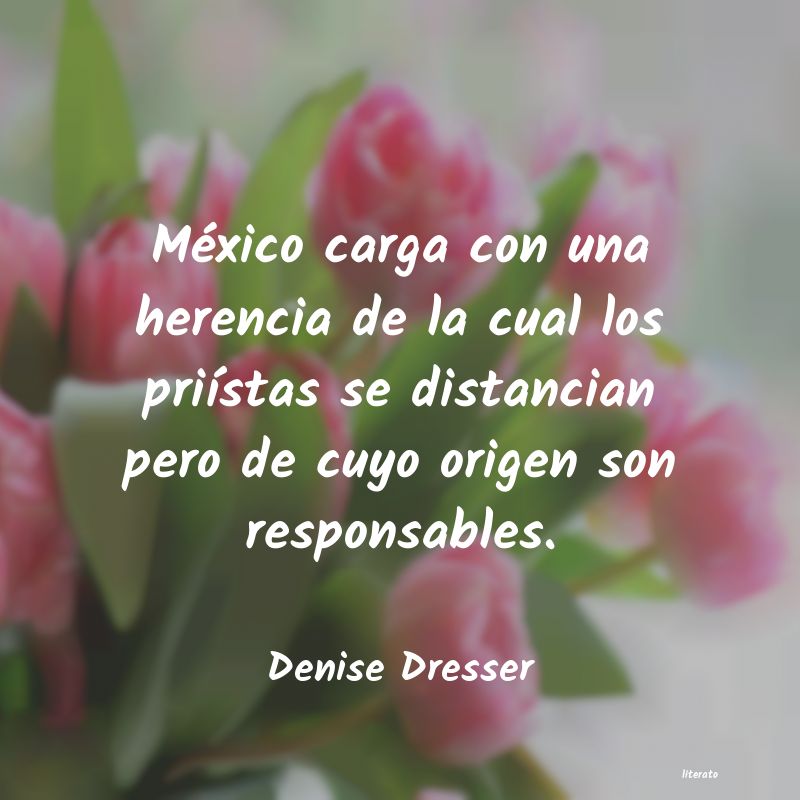 Frases de Denise Dresser