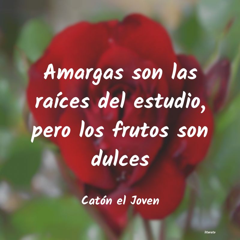 frases de Catón el Joven