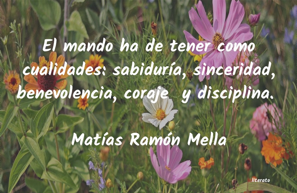 frases de MatÃas Ramón Mella