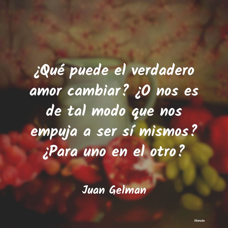 Frases de Juan Gelman