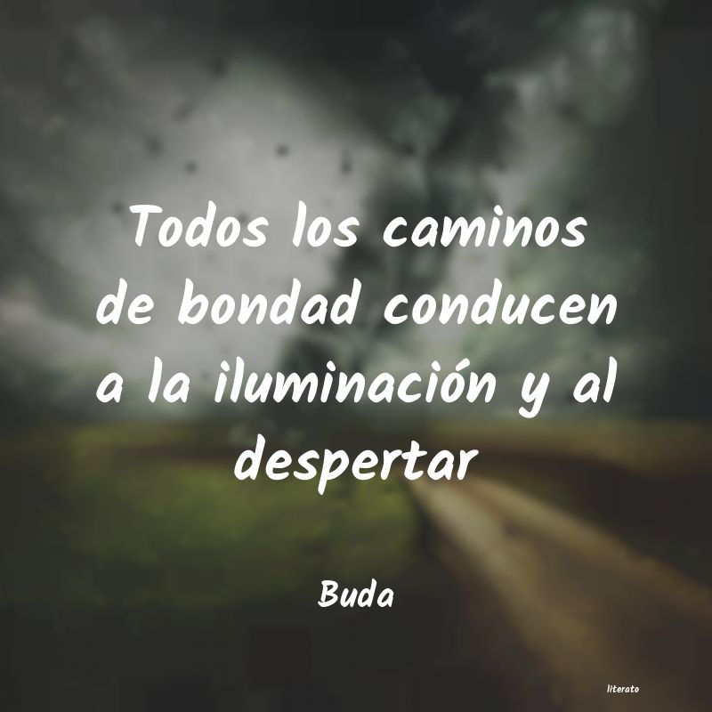 Frases de Buda