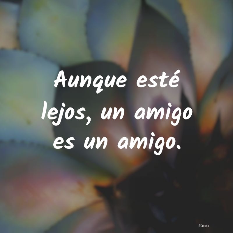 frases