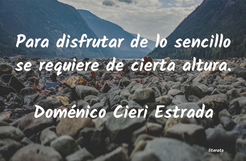 Frases de Doménico Cieri Estrada