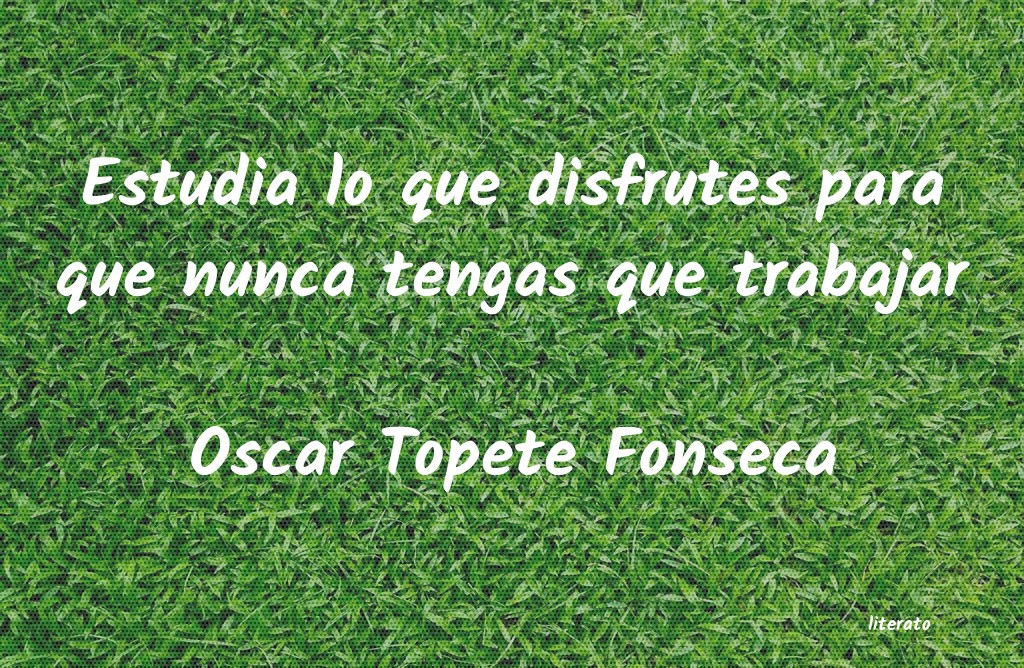 Frases de Oscar Topete Fonseca