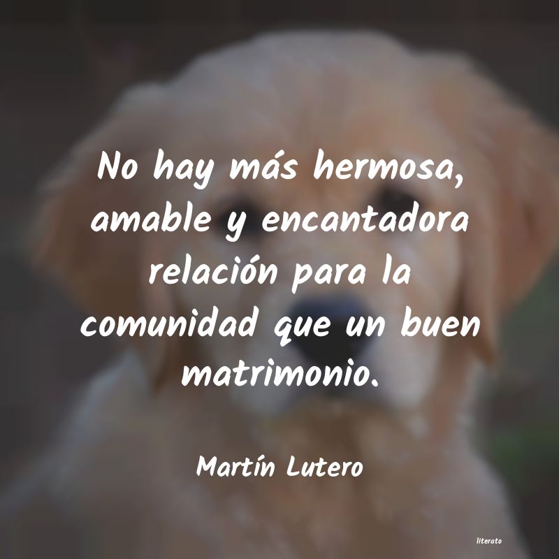 Frases de Martín Lutero