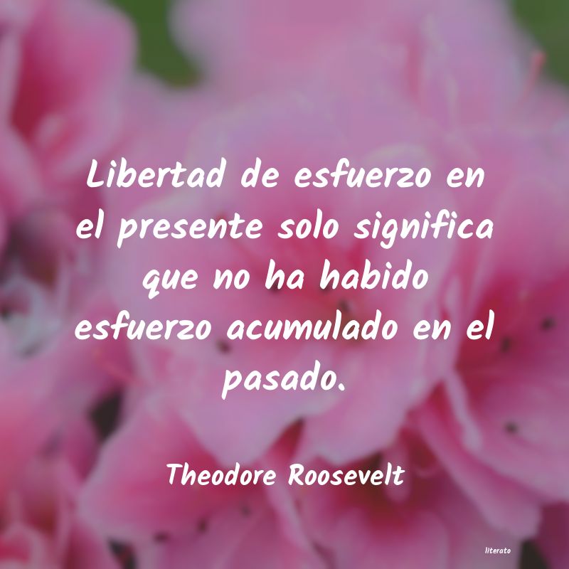 frases de Theodore Roosevelt