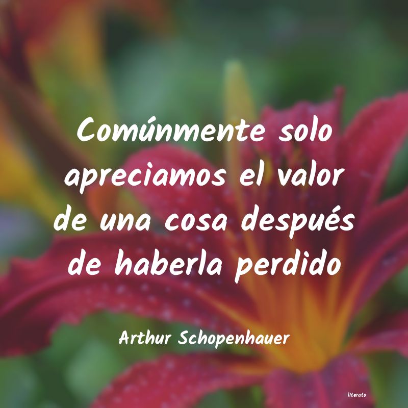 Frases de Arthur Schopenhauer