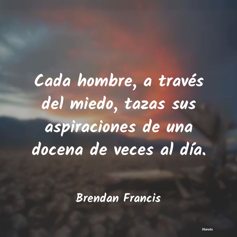 Frases de Brendan Francis