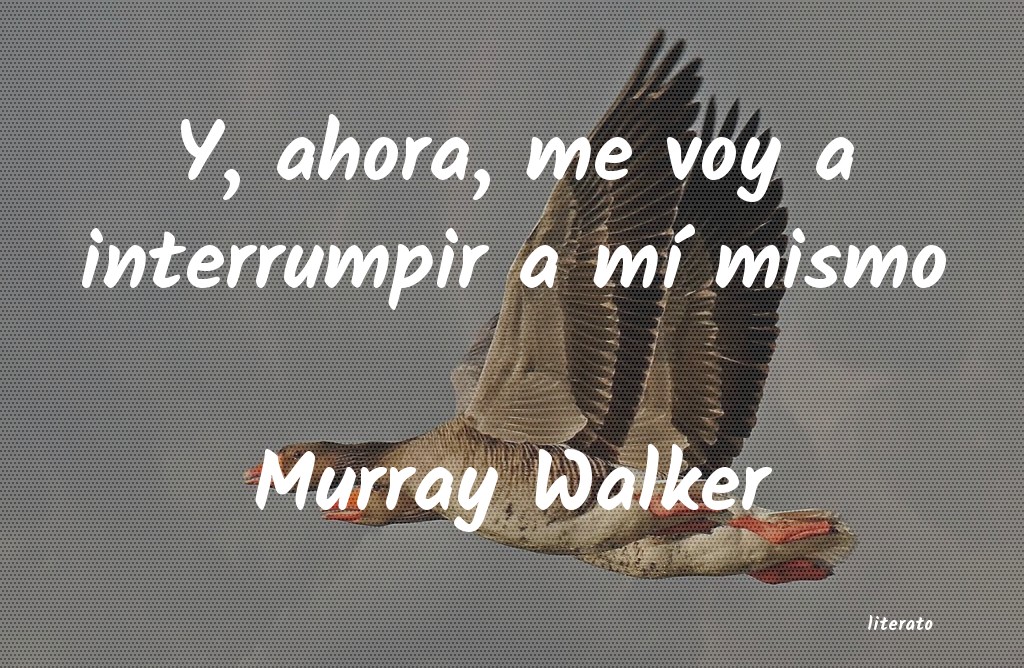 Frases de Murray Walker