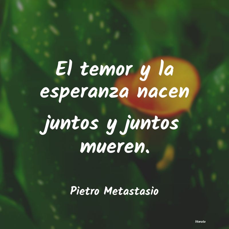 Frases de Pietro Metastasio