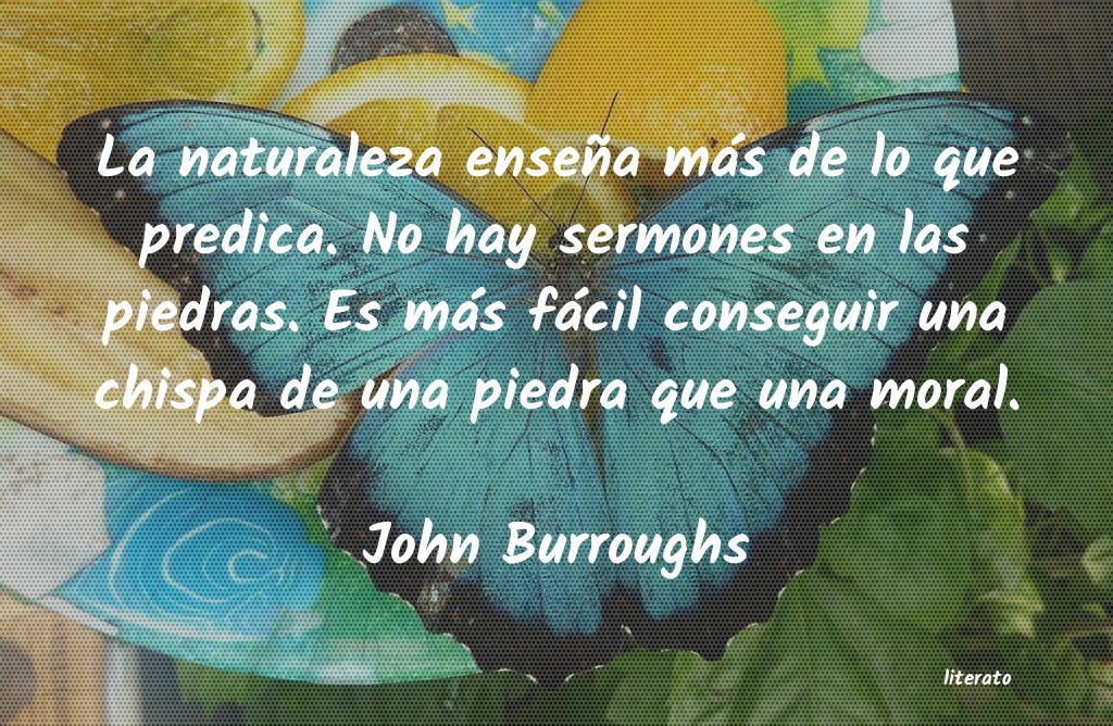 frases de John Burroughs