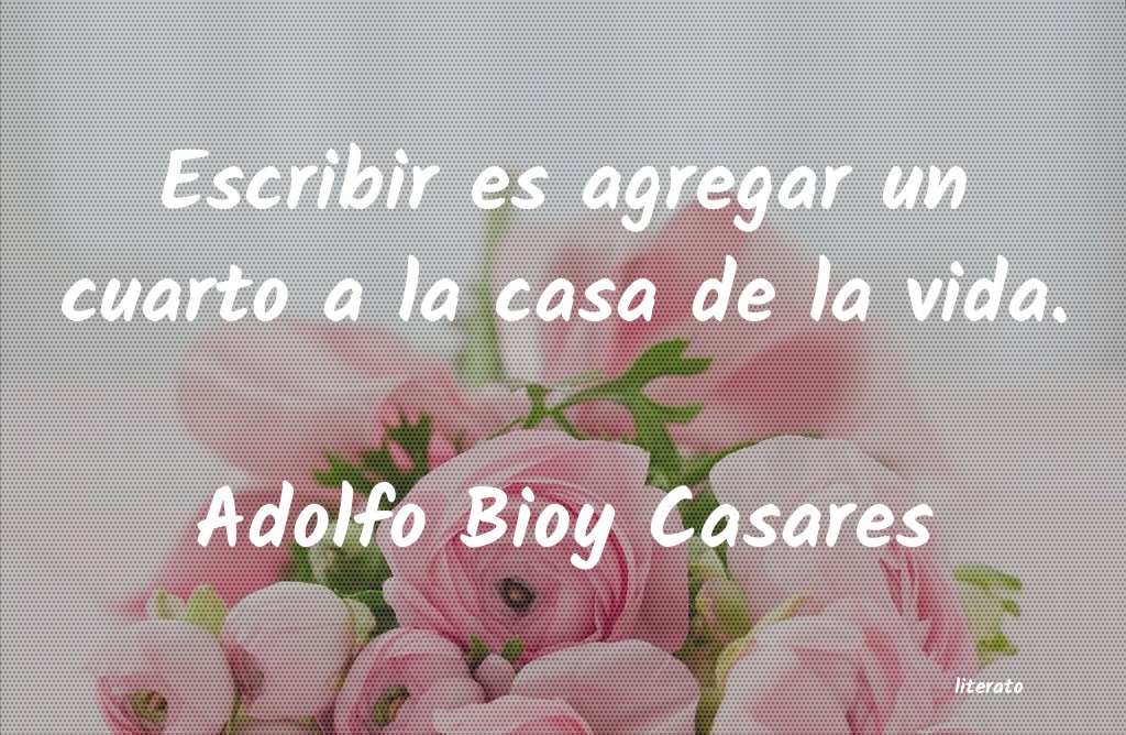 Frases de Adolfo Bioy Casares