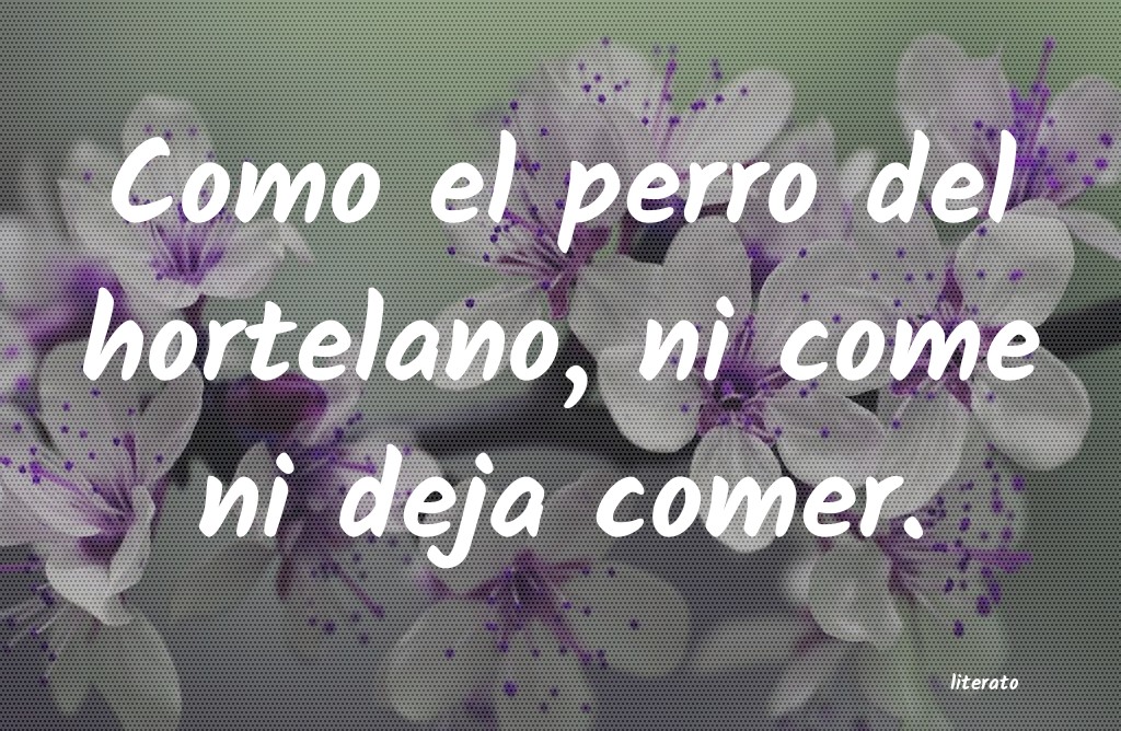 monogamia es como comer papas fritas