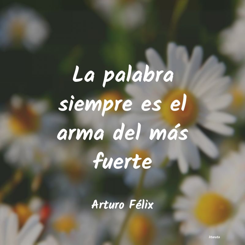 Frases de Arturo Félix