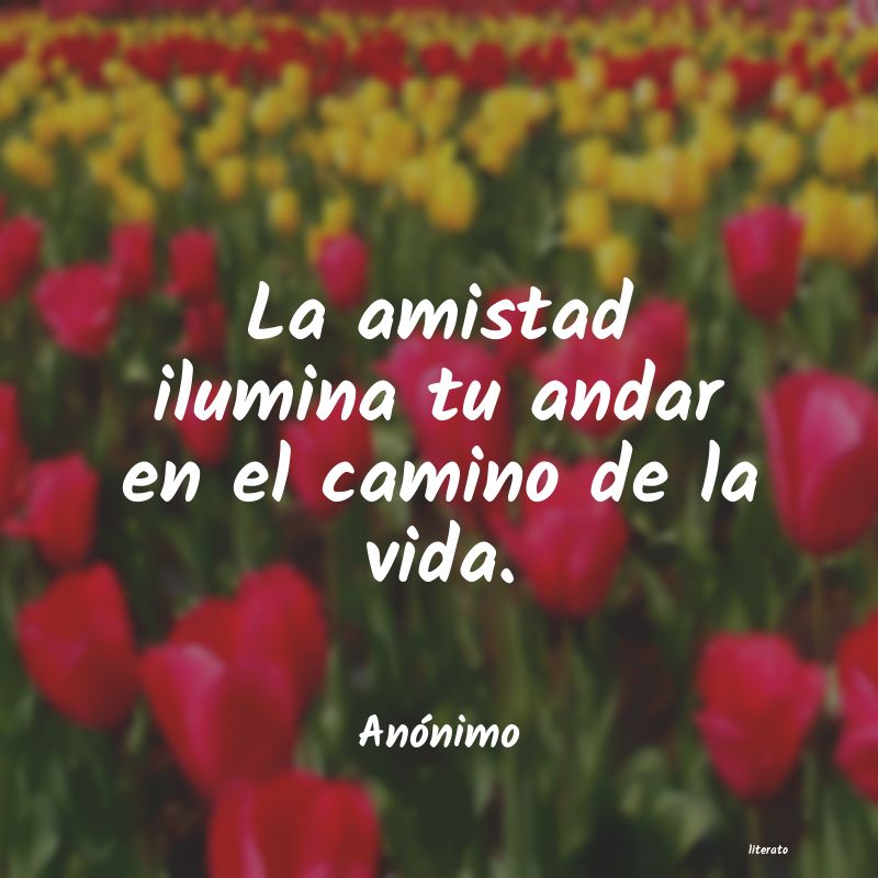 frases