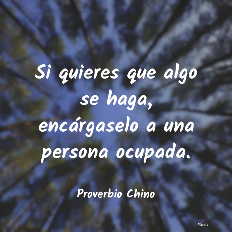 frases de Proverbio Chino