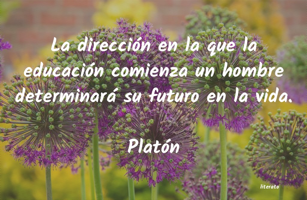 Frases de Platón