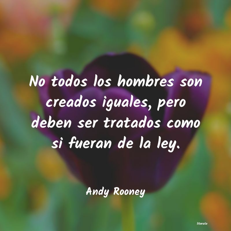 Frases de Andy Rooney