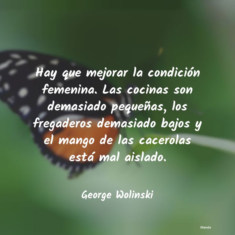 Frases de George Wolinski