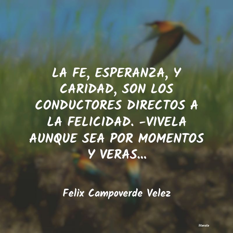 Frases de Felix Campoverde Velez