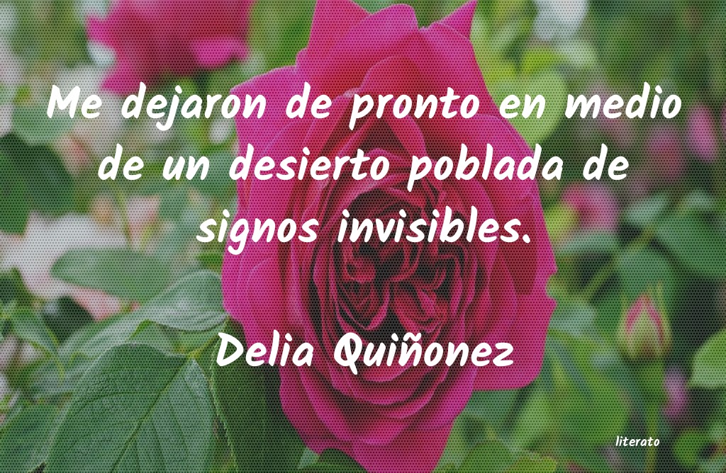 frases de Delia Quiñonez