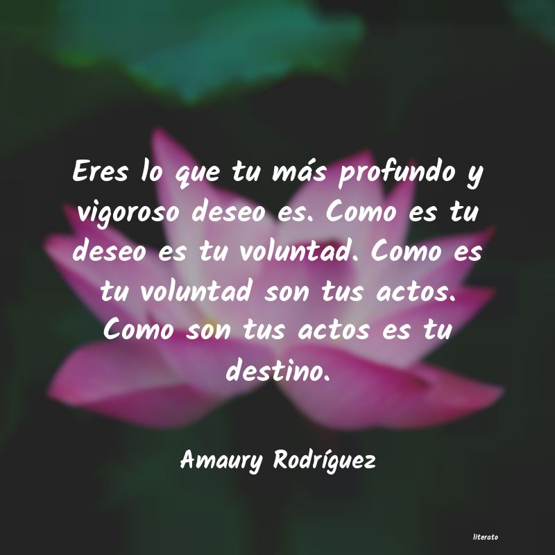 Frases de Amaury Rodríguez