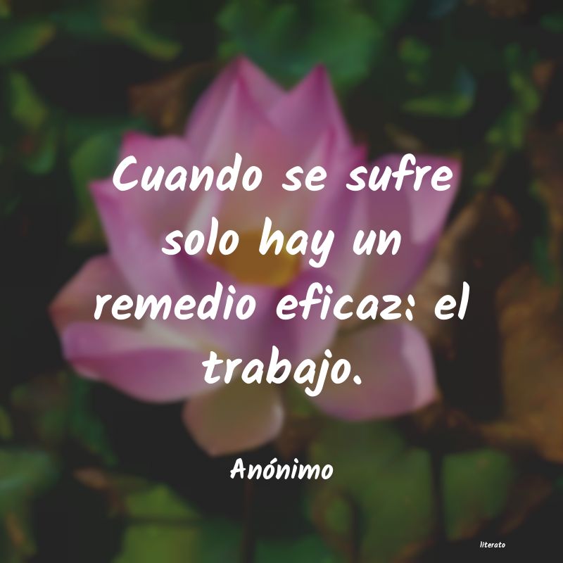 frases