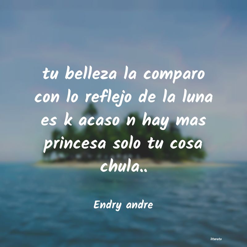 frases de Endry andre