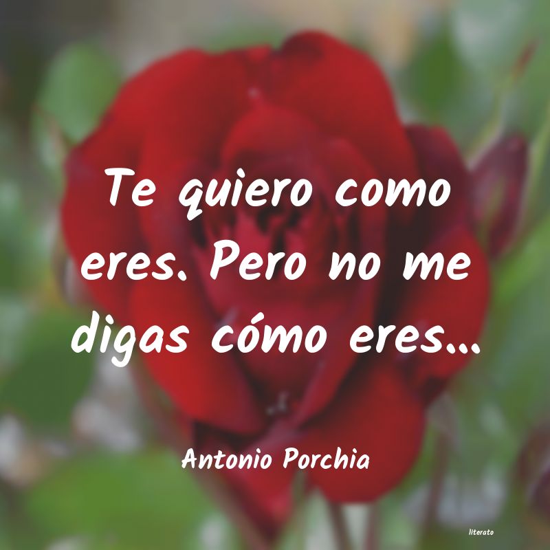 frases de Antonio Porchia