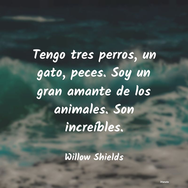 frases de Willow Shields