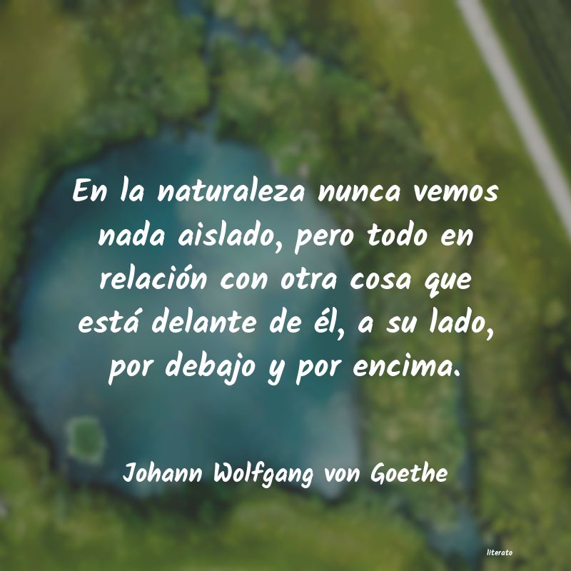 frases de Johann Wolfgang von Goethe
