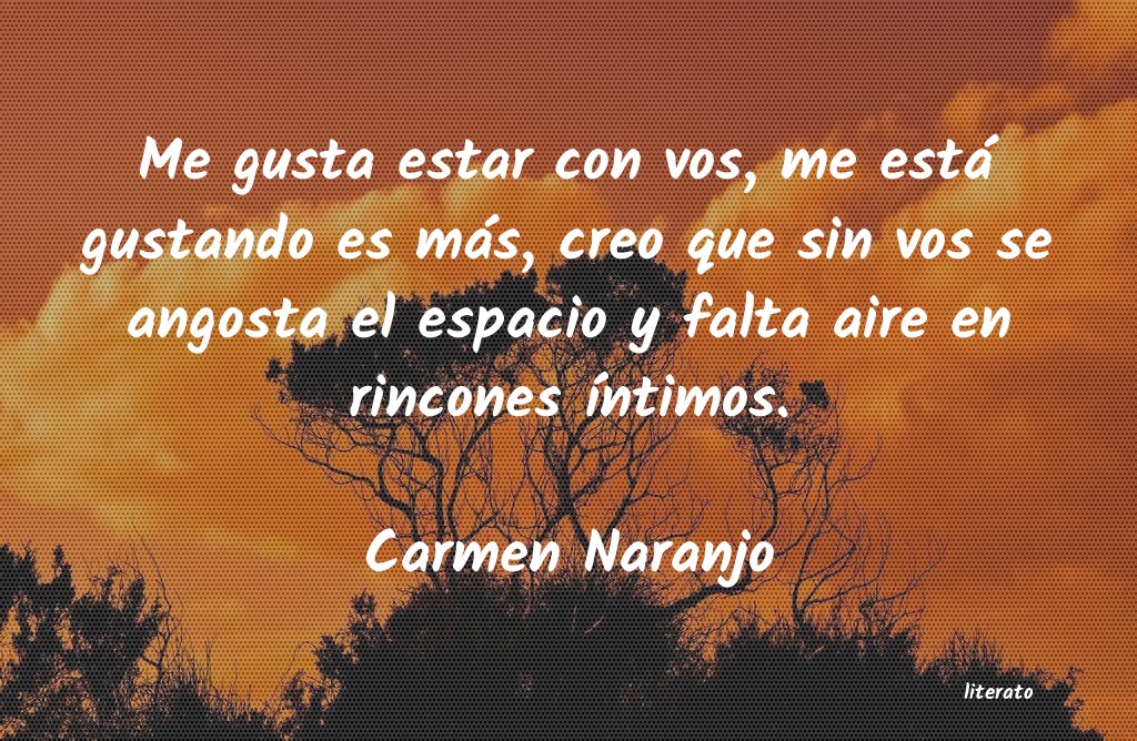 Frases de Carmen Naranjo