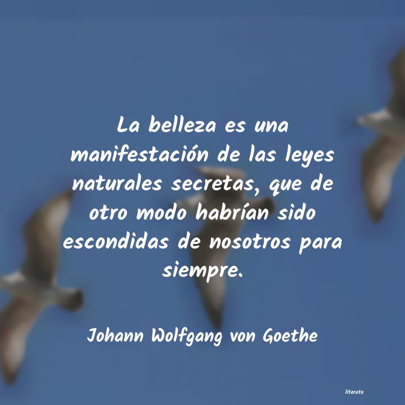 frases de Johann Wolfgang von Goethe