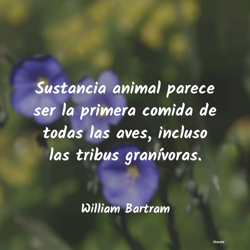 frases de William Bartram