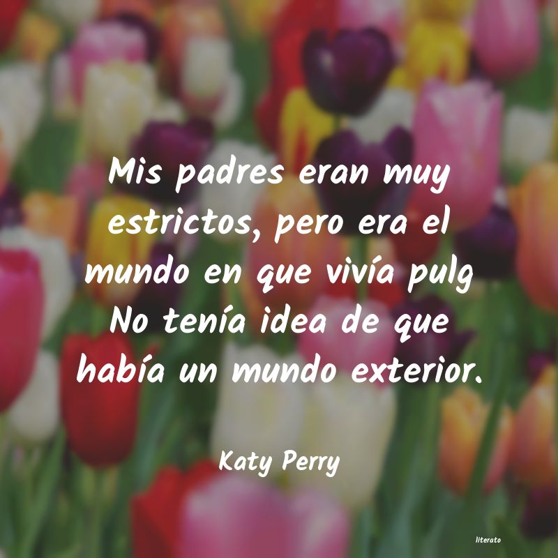 Frases de Katy Perry