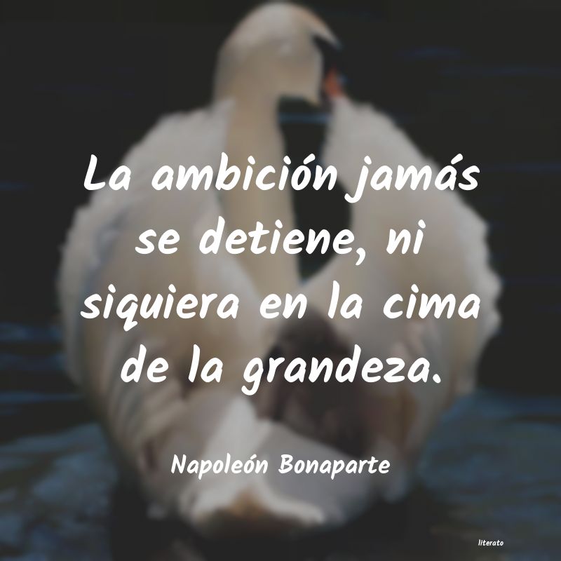 pensamientos de napoleon de la grandeza