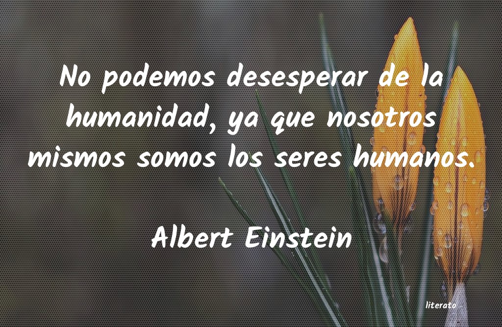 frases de Albert Einstein