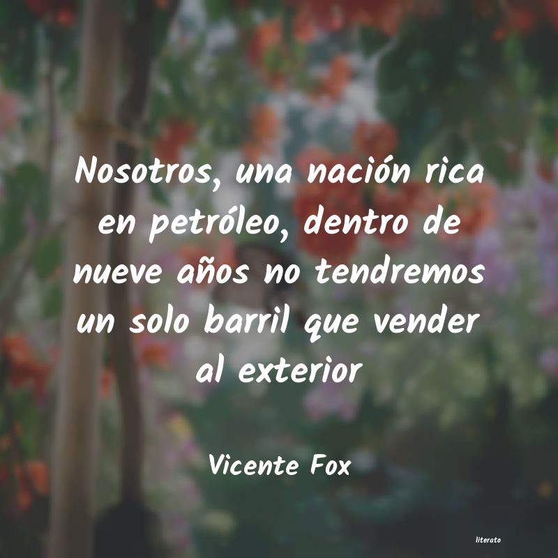 Frases de Vicente Fox