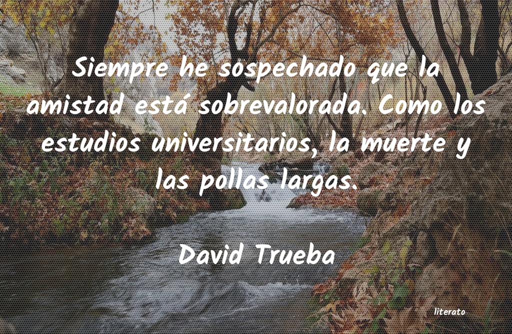 Frases de David Trueba