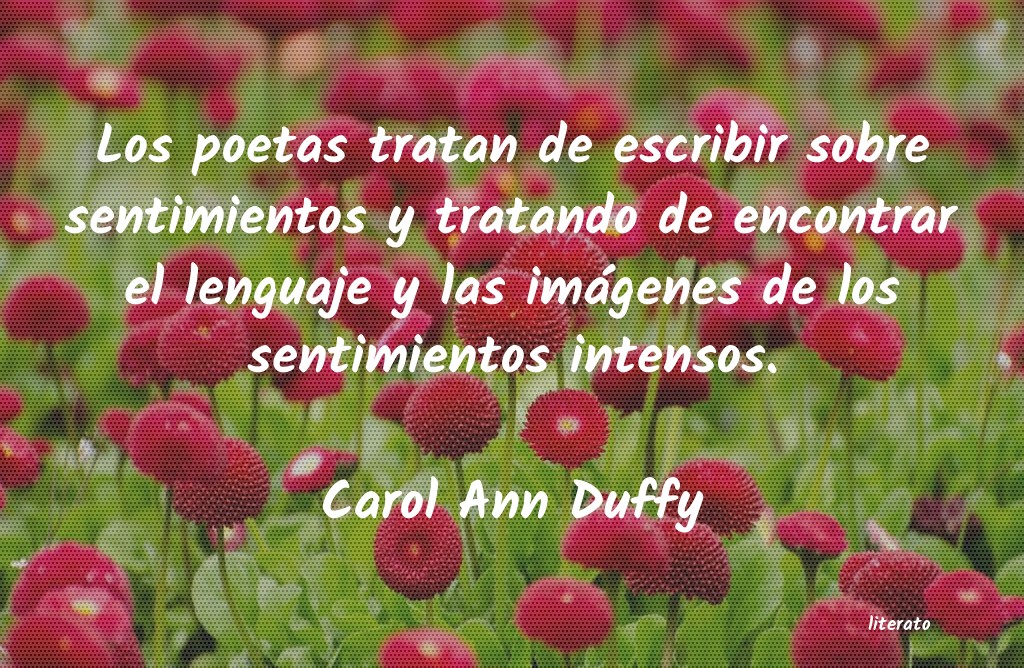 Frases de Carol Ann Duffy