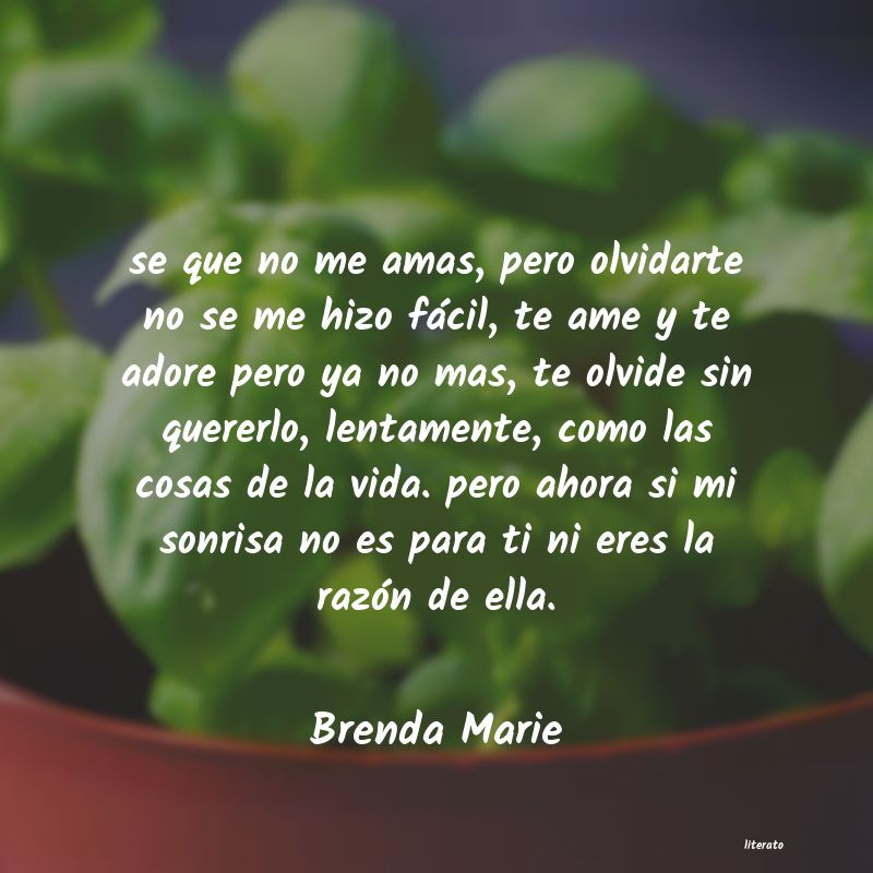 Frases de Brenda Marie