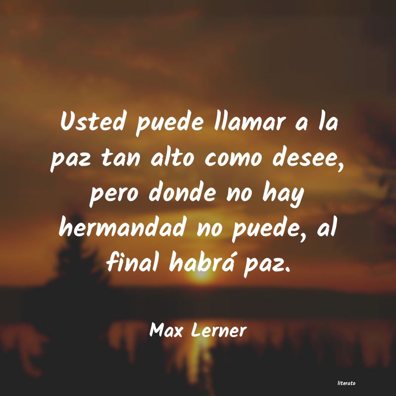 frases de Max Lerner