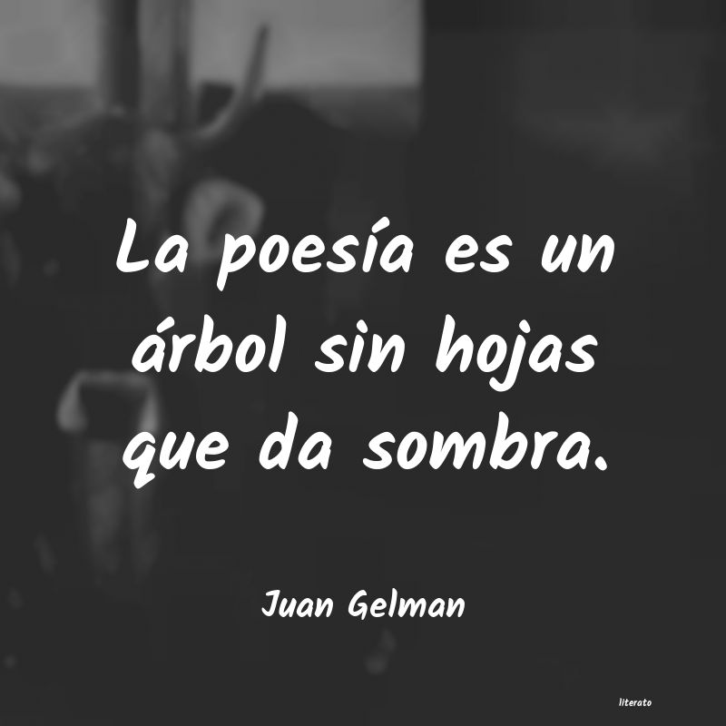 Frases de Juan Gelman