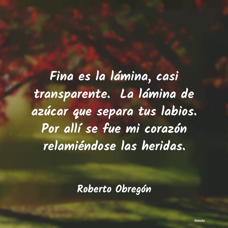 frases de Roberto Obregón