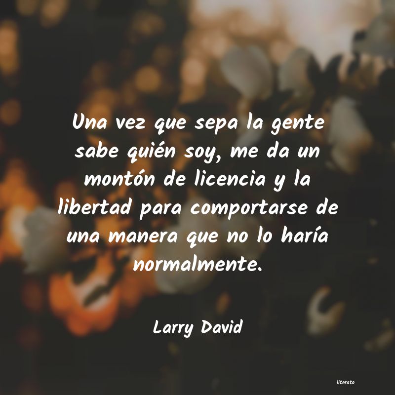 Frases de Larry David